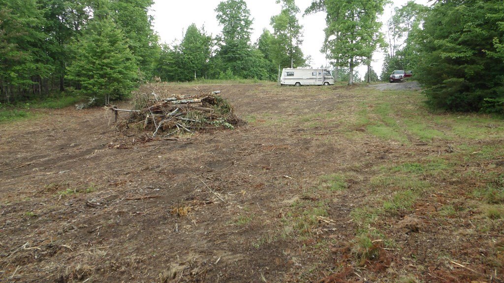 Picture 31