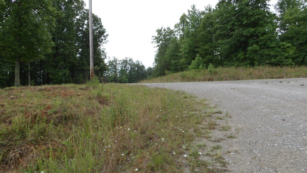 Picture 2
