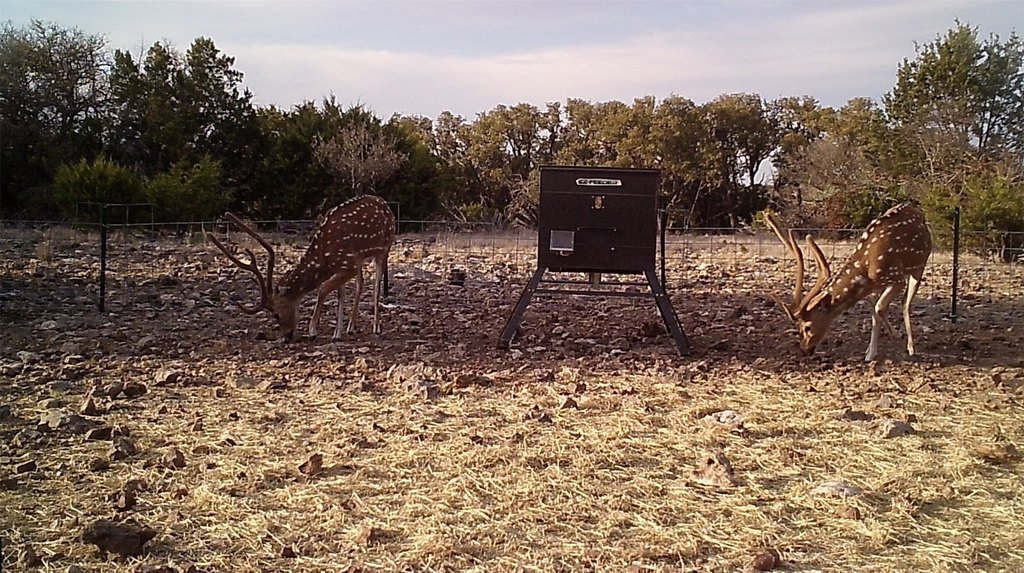 Picture 12