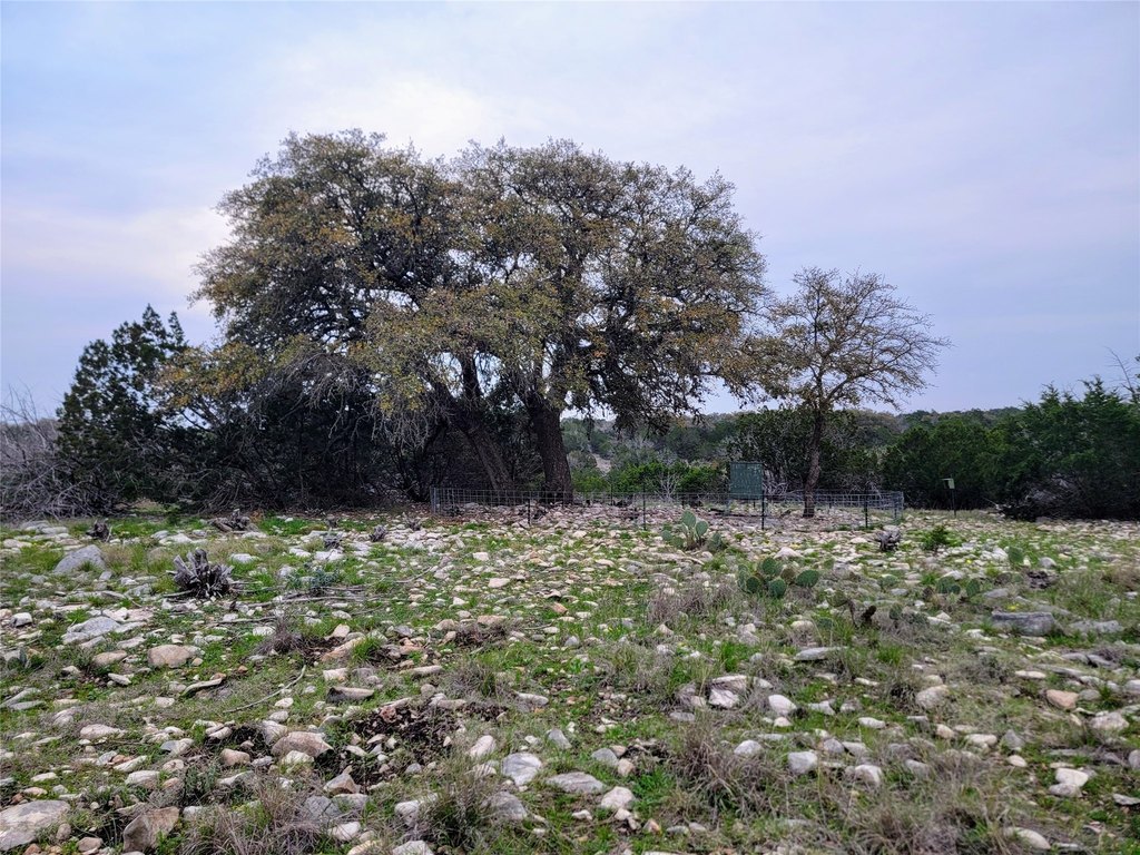 Picture 37