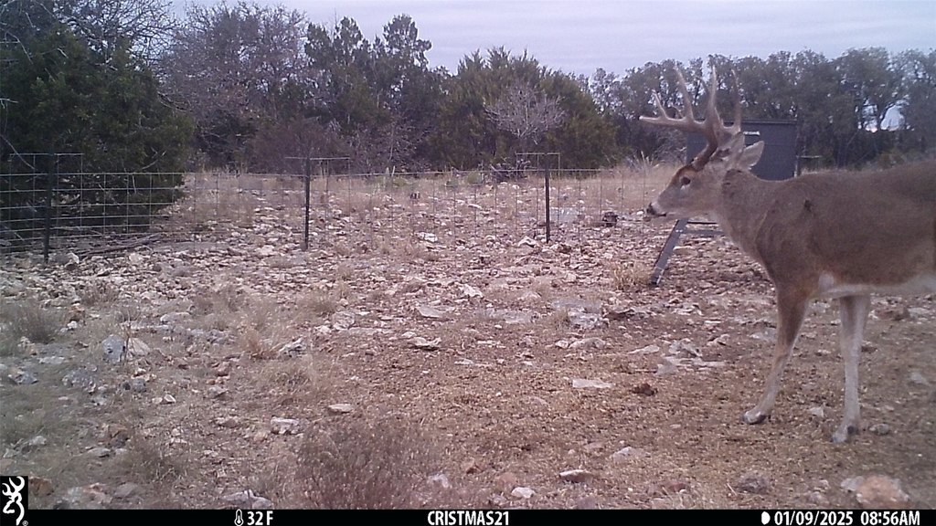 Picture 3