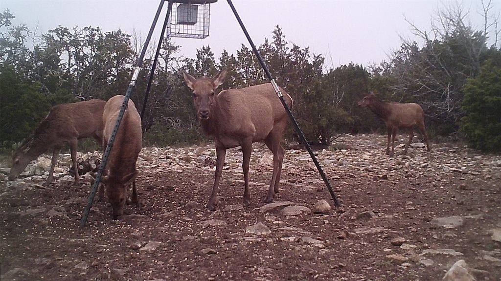 Picture 8
