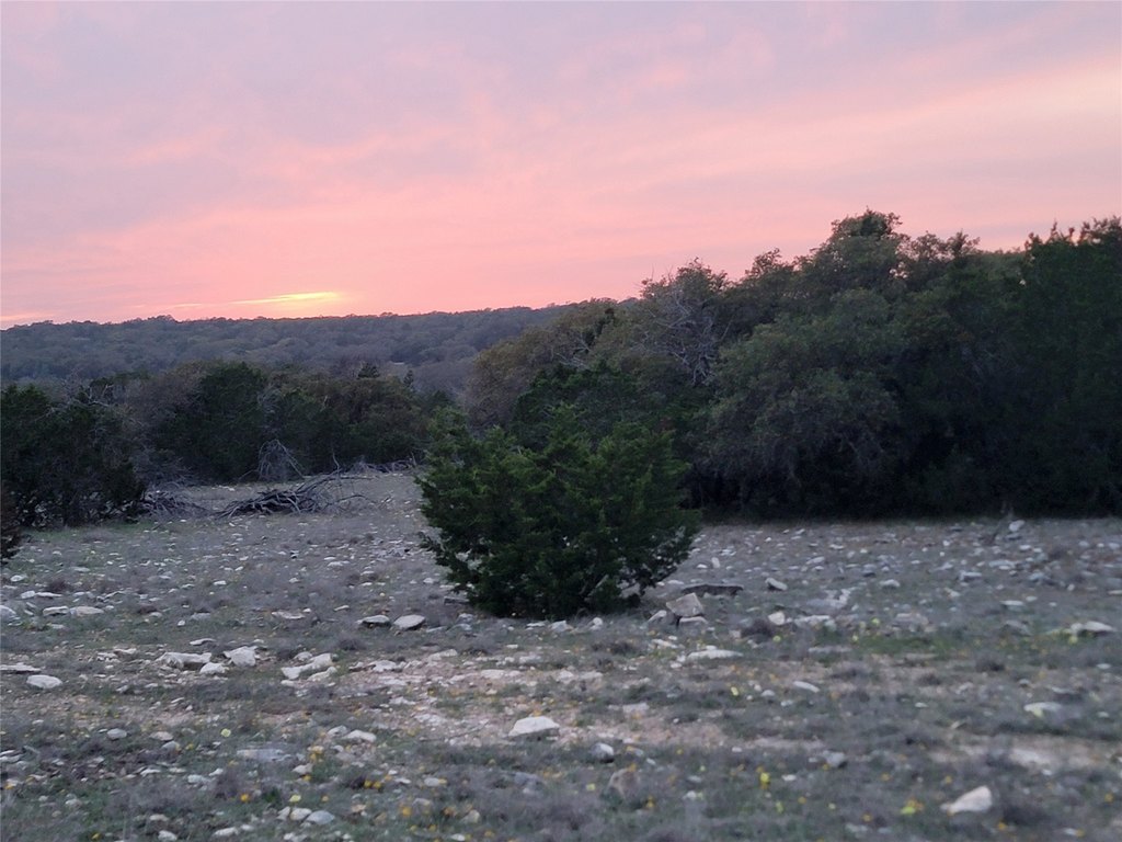 Picture 38