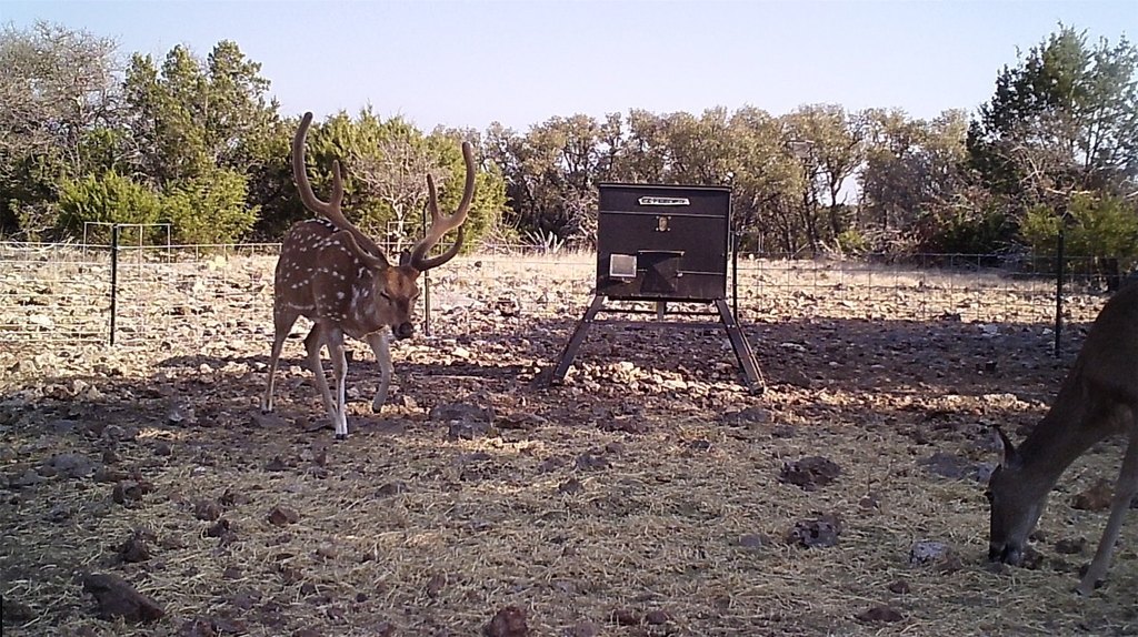 Picture 6