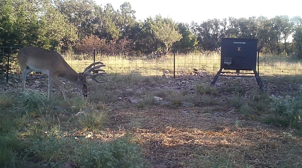 Picture 11