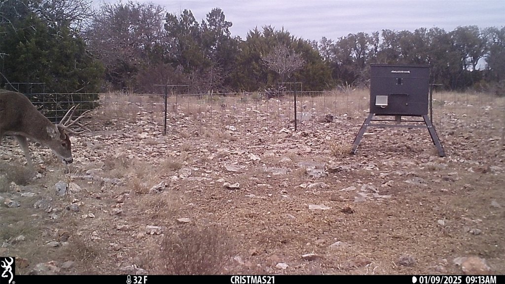Picture 10