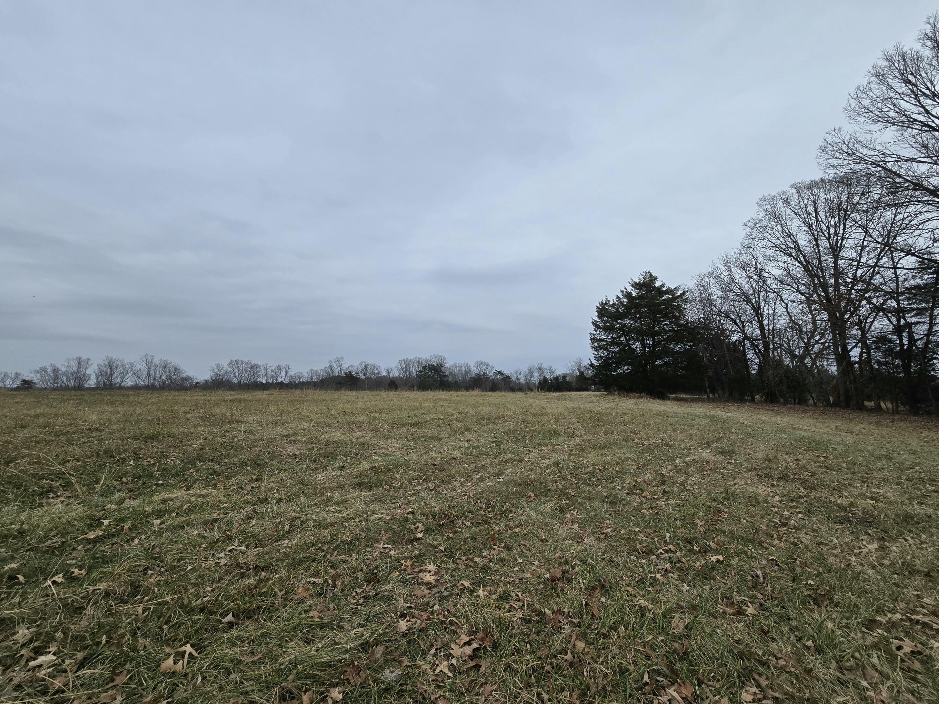 Moneta, VA Commercial Land