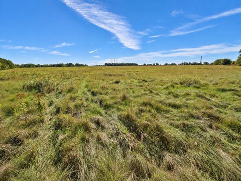 Land, Pillager, MN