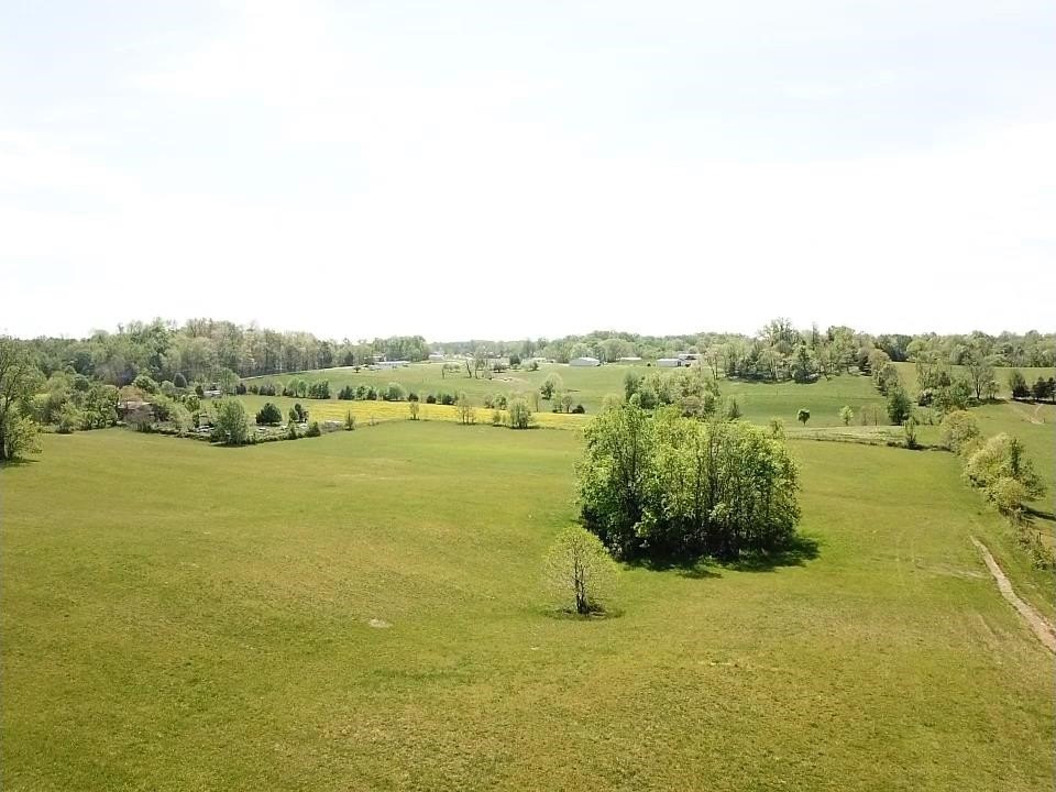 Picture 3