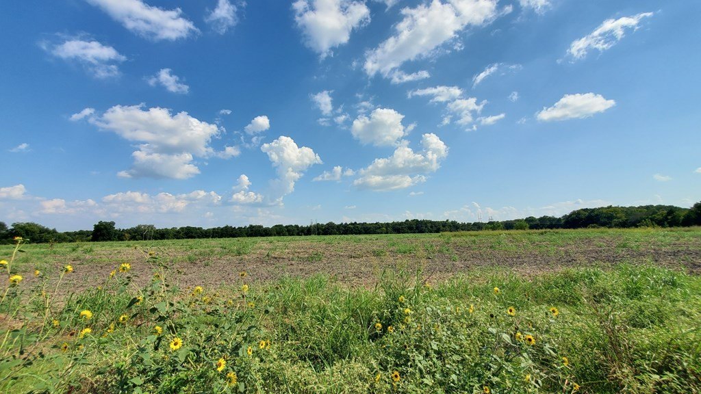 Picture 30