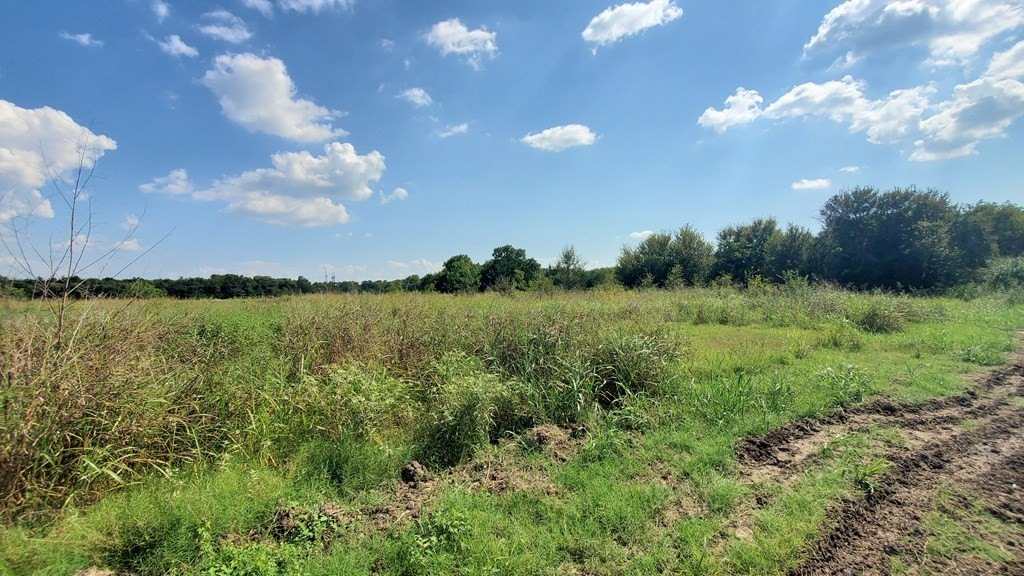 Picture 19