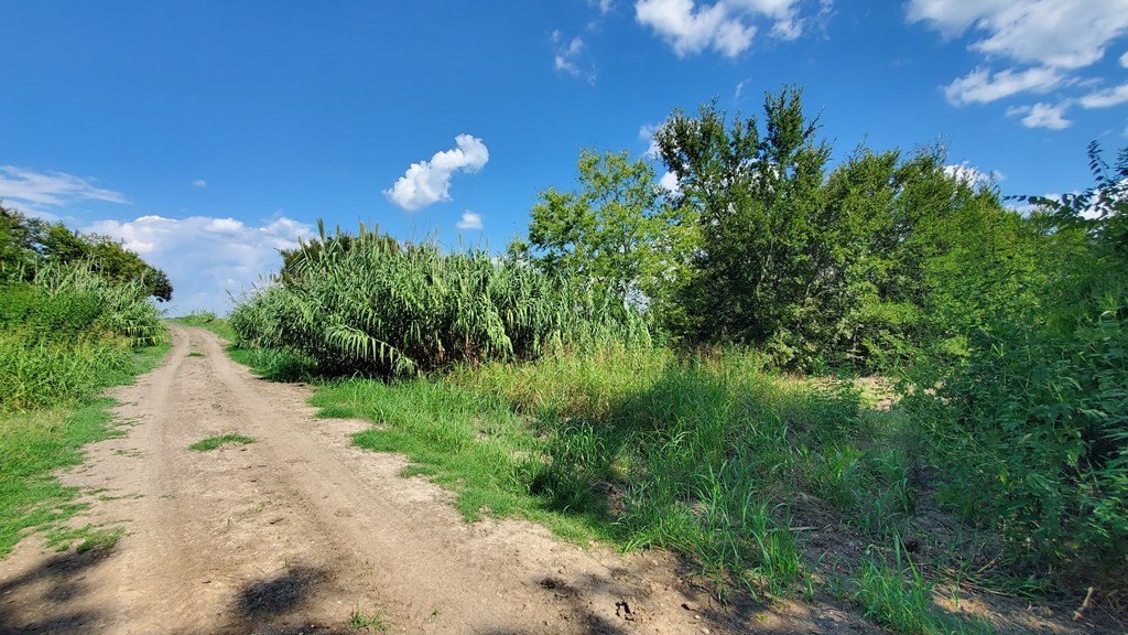 Picture 34
