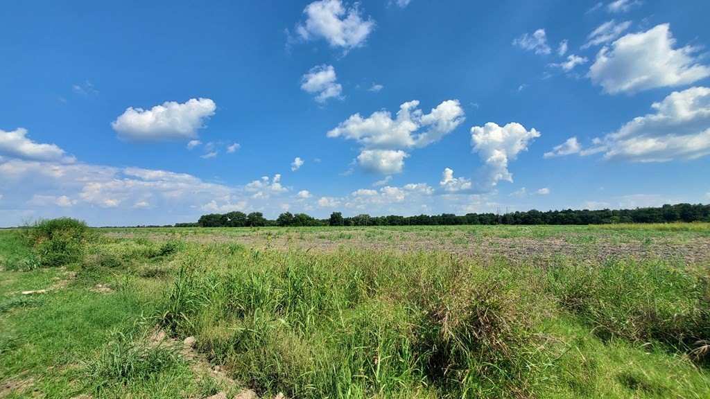 Picture 22