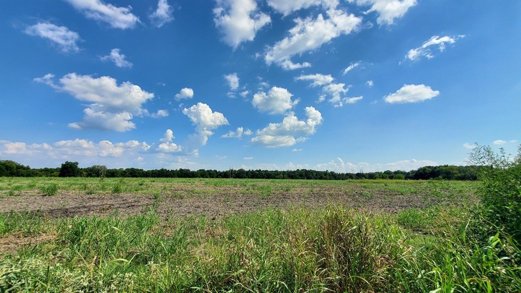 Picture 31