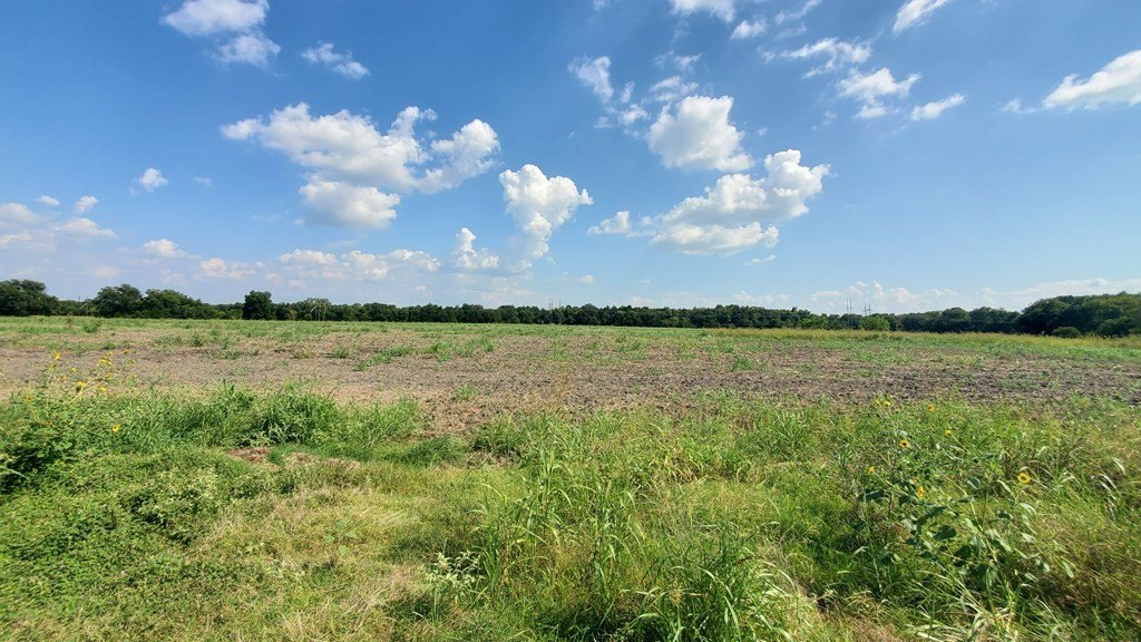 Picture 28