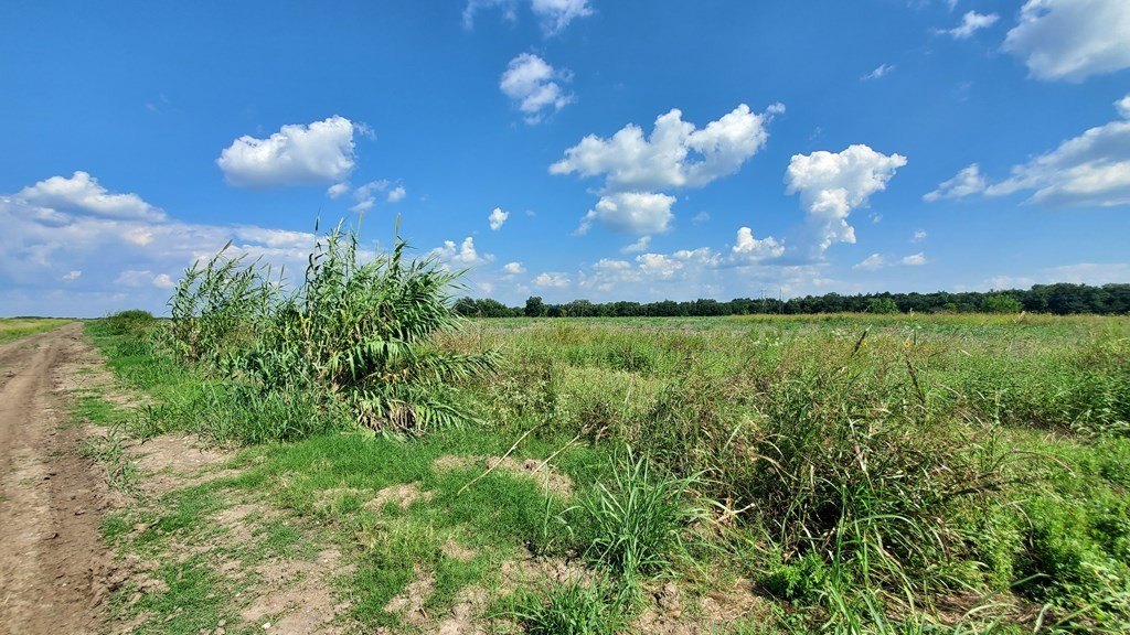 Picture 20