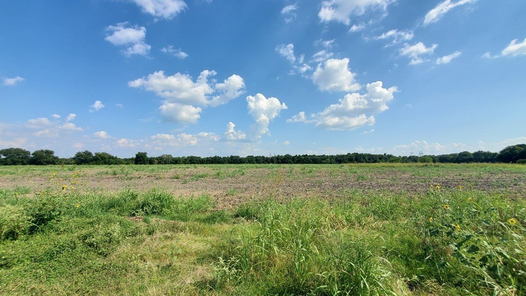 Picture 24