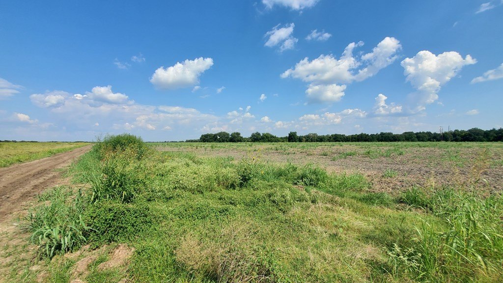 Picture 29