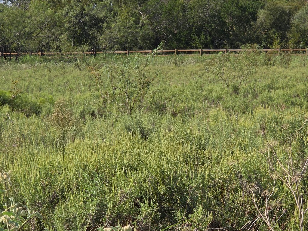 Picture 29