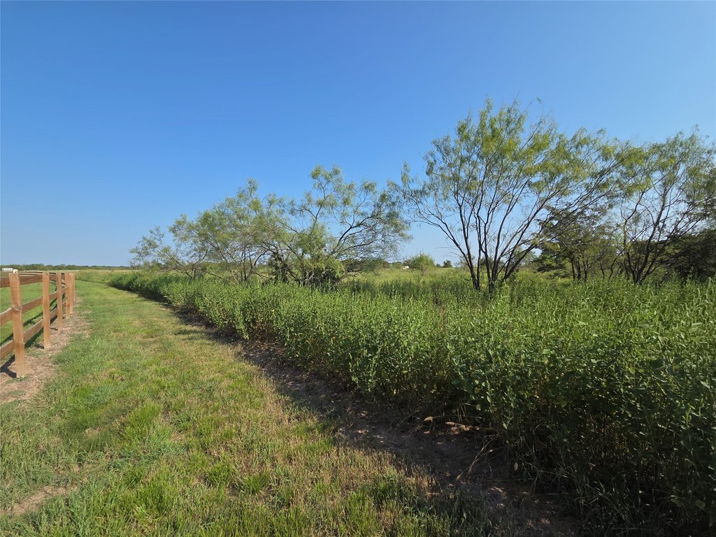 Picture 33