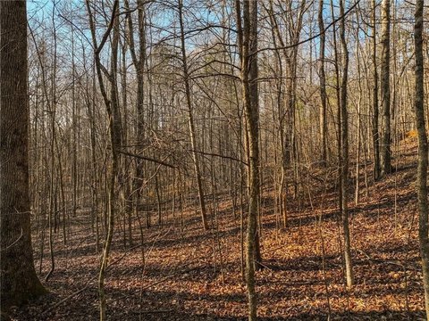 Land, Murrayville, GA