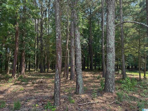LAND - JACKSONVILLE, AL