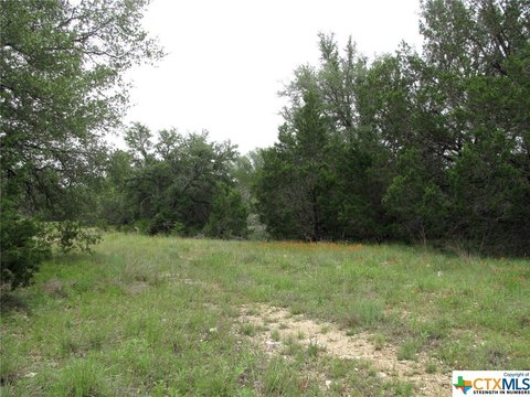 Scenic Hill Country Land Parcel