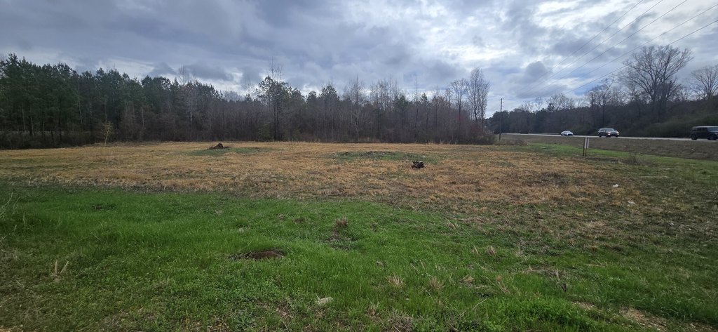 Picture 18