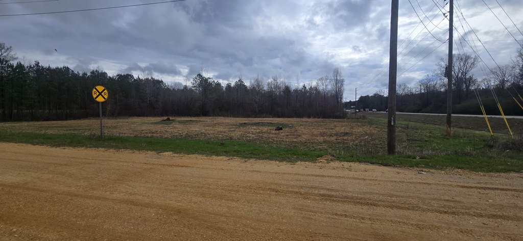 Picture 19