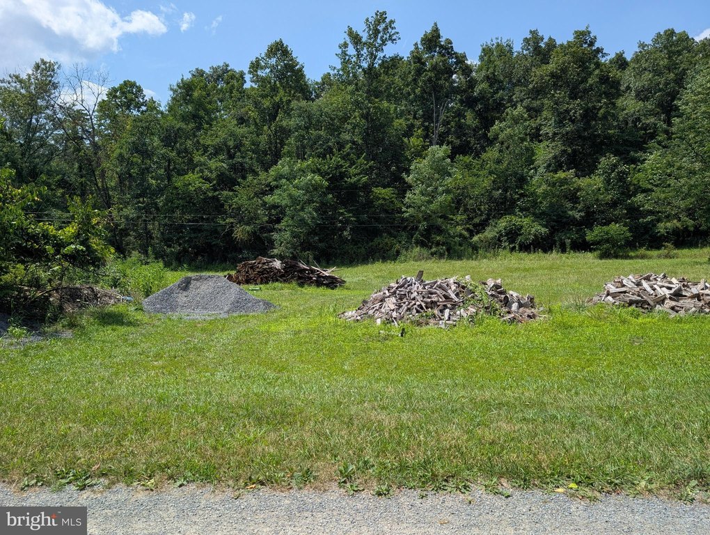 Picture 3
