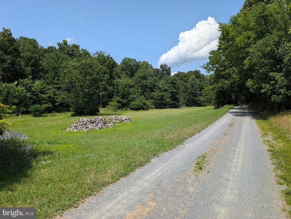 Picture 17