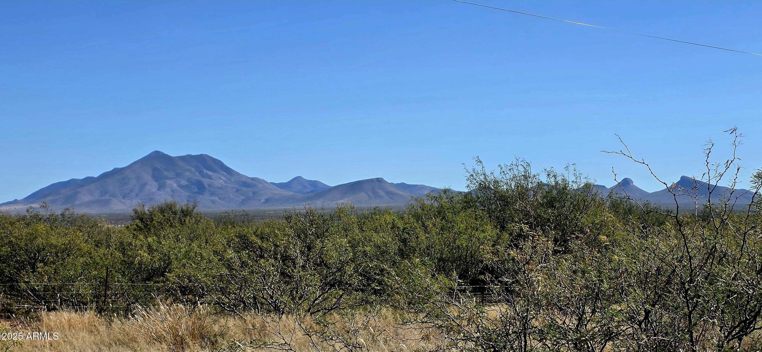 Hereford Land with Mountain Views