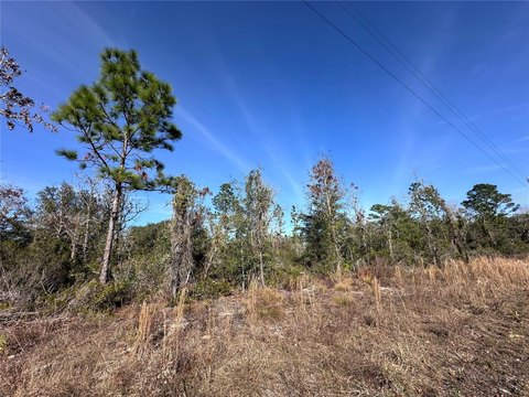 Corner Lot in Oak Ridge
