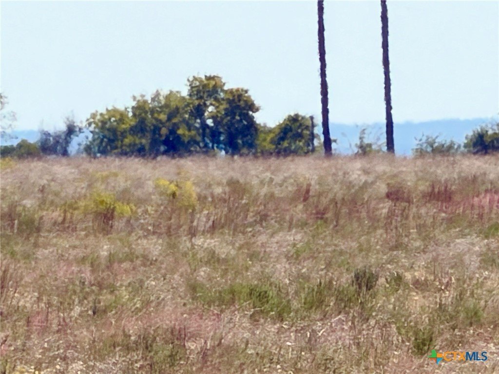 Picture 12