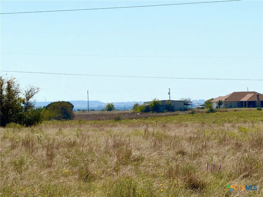 Picture 9