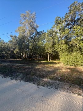 Land, OCALA, FL