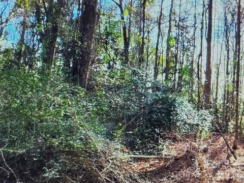 Land, Kershaw, SC