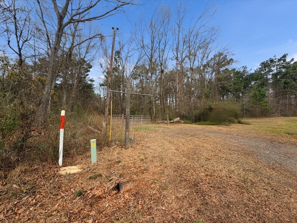 Picture 15