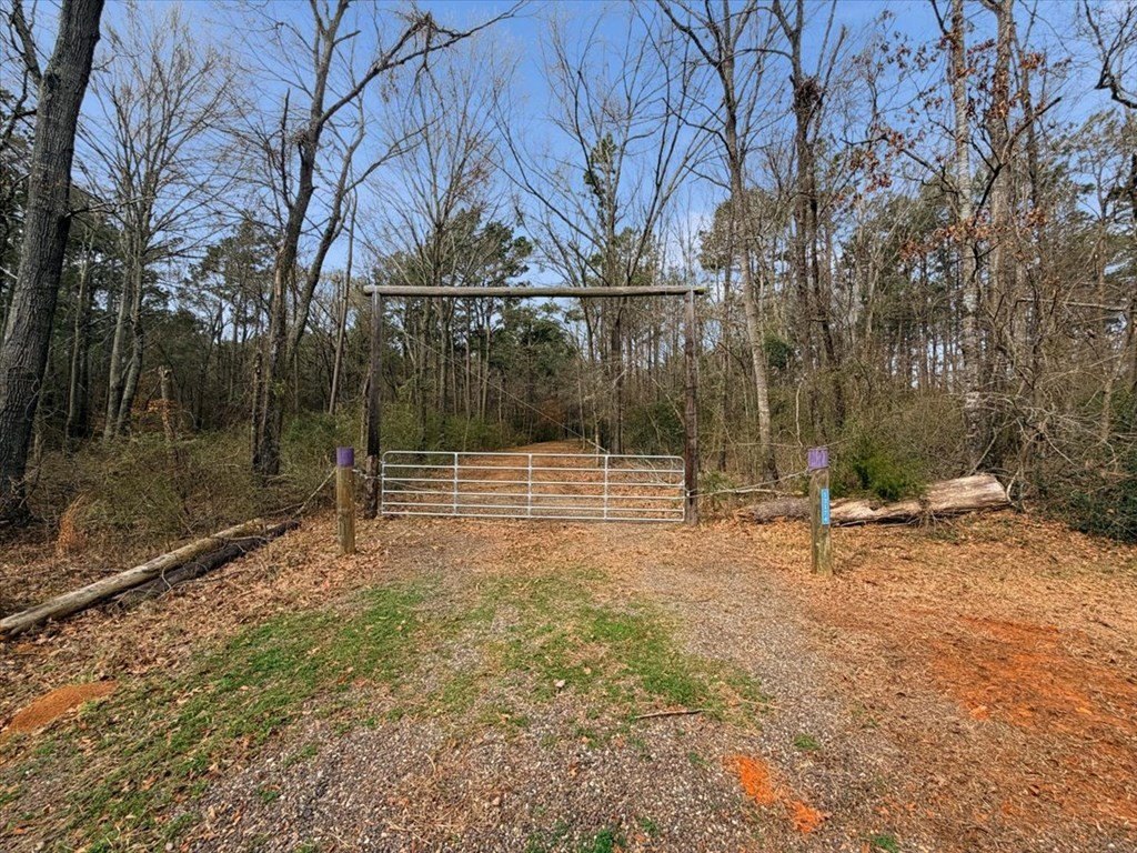 Picture 14