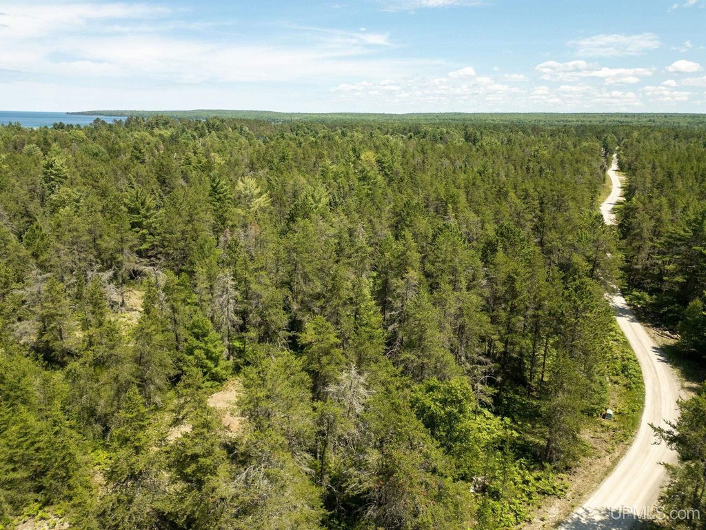Picture 13