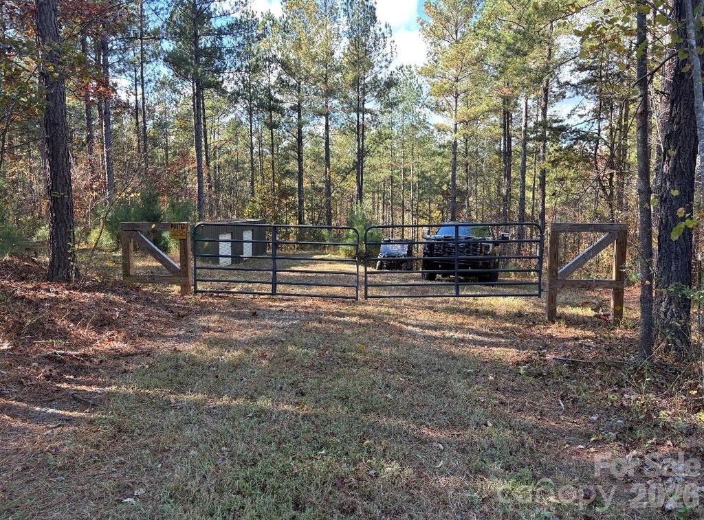 Picture 16