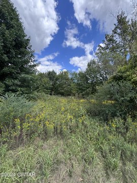 Picture of Land at Charlie Lewis Rd 555, Trenton, TN