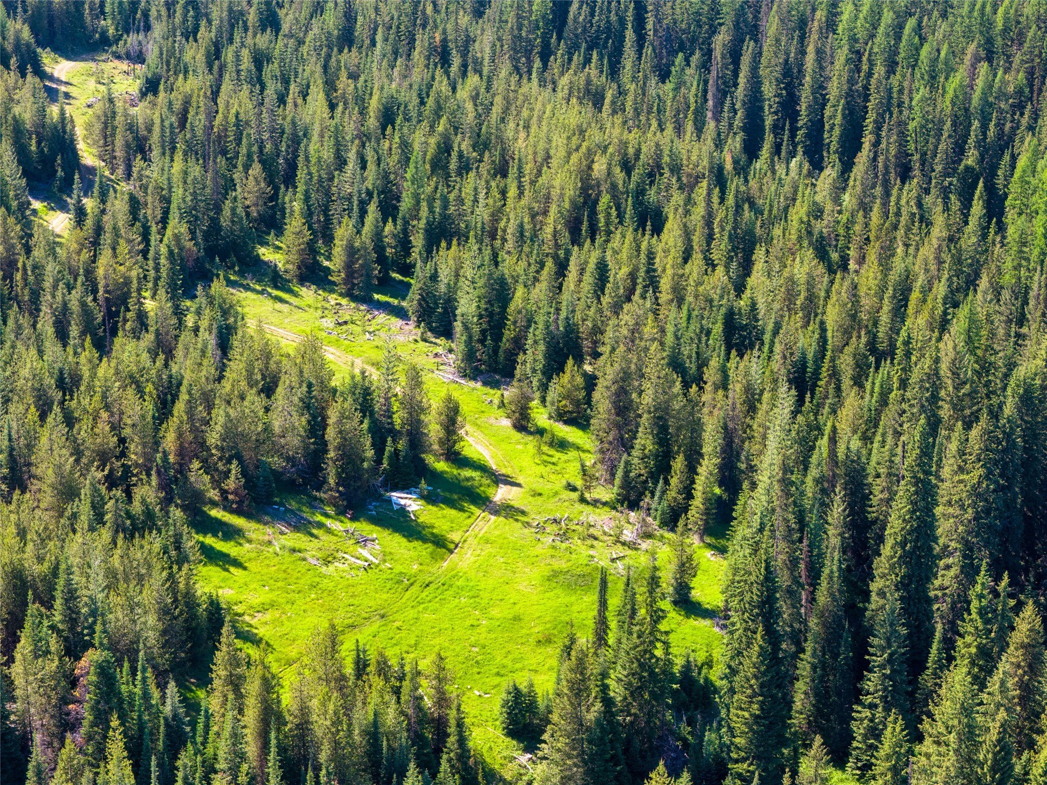 Secluded Haugan Land Parcel