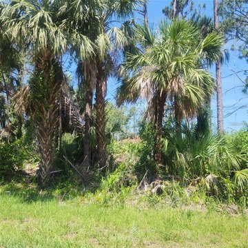 Oversized Wooded Corner Lot