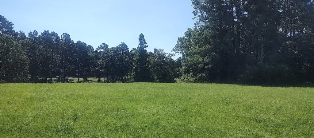 Picture 18