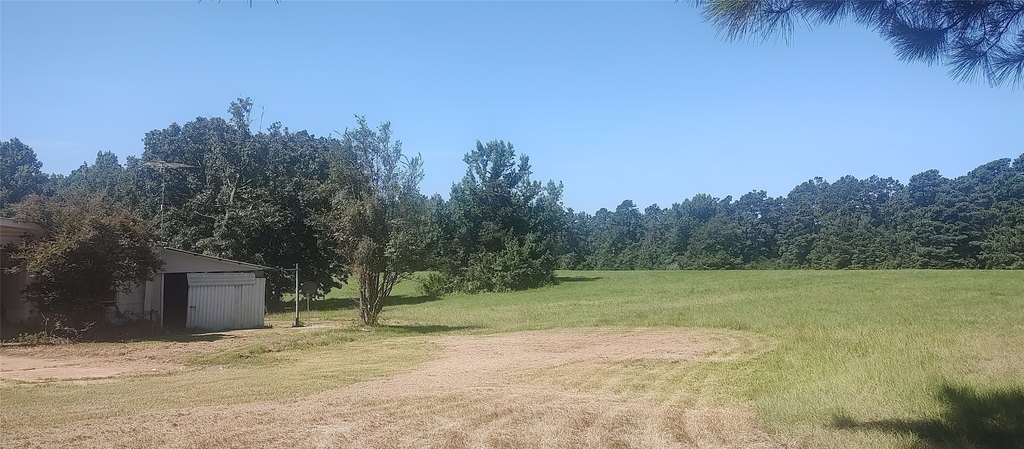 Picture 16