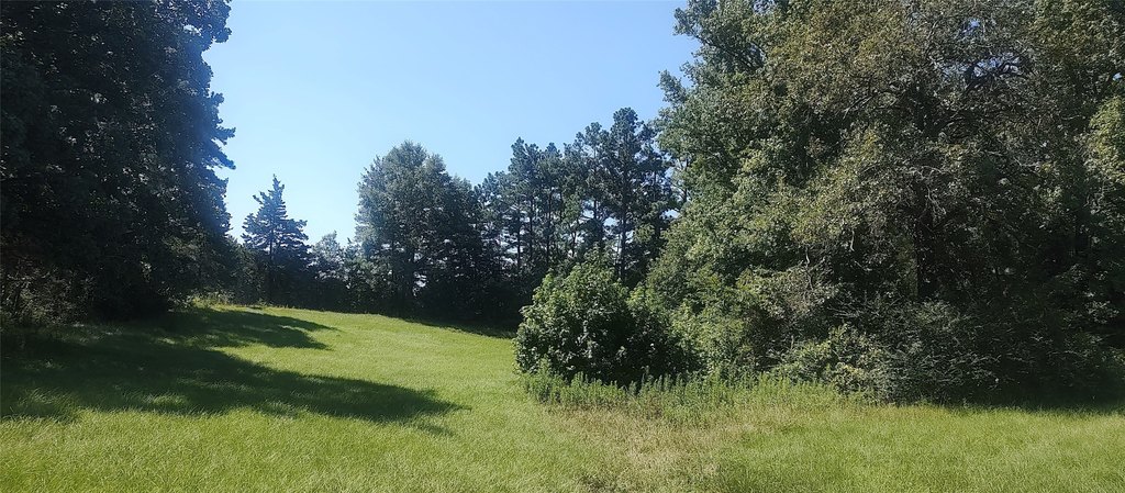 Picture 12