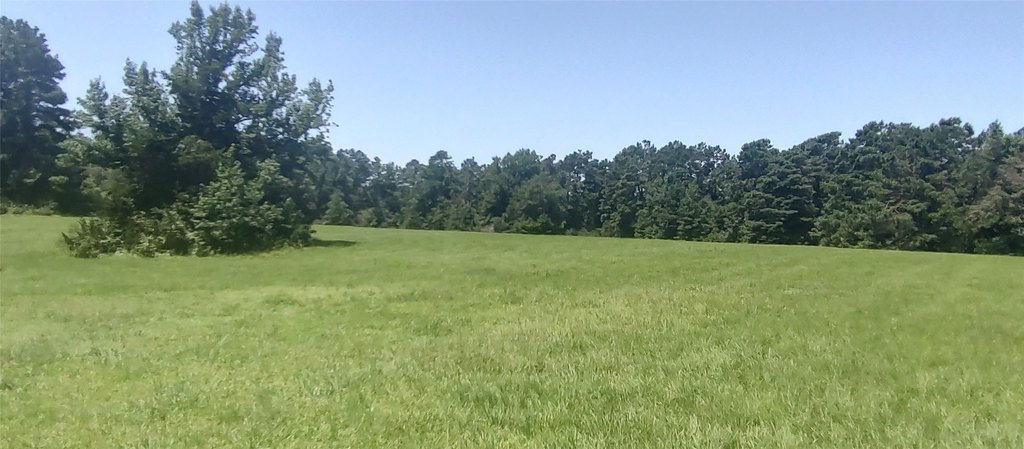 Picture 7