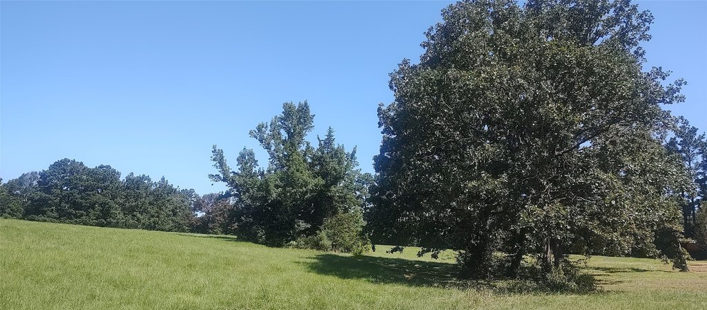 Picture 20