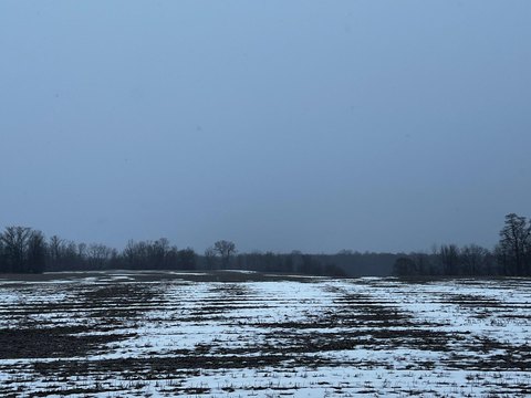 68-Acre Farmland Parcel in Decatur